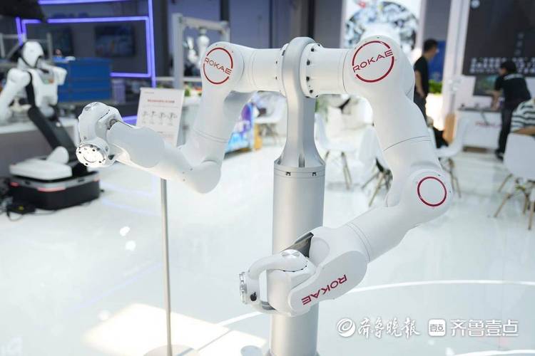 机器人来了,珞石多款产品亮剑2026人工智能产业大会